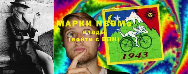 mix Богородицк