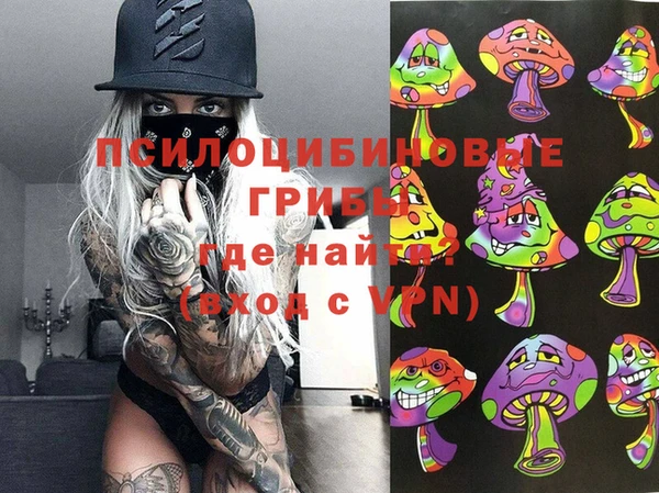 2c-b Янаул