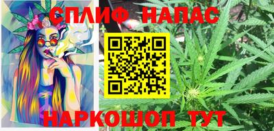 сатива Балаково