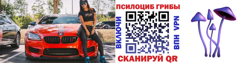 купить наркотики цена  Невинномысск  mega онион  Галлюциногенные грибы мухоморы 