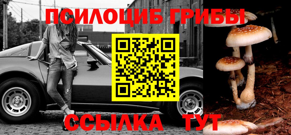 Псилоцибиновые грибы Psilocybine cubensis  Вход с VPN  Псилоцибиновые грибы MAGIC MUSHROOMS  купить наркотики сайты  Невинномысск 