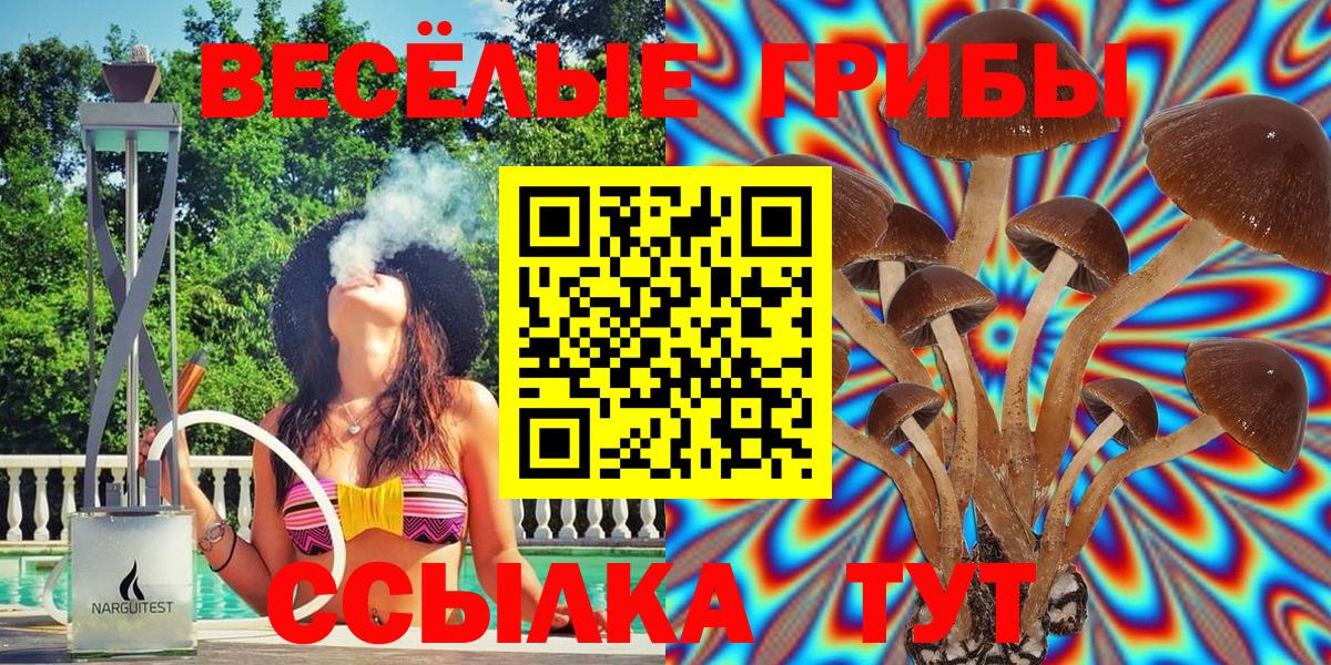 Галлюциногенные грибы мухоморы  Невинномысск  Псилоцибиновые грибы Psilocybe 