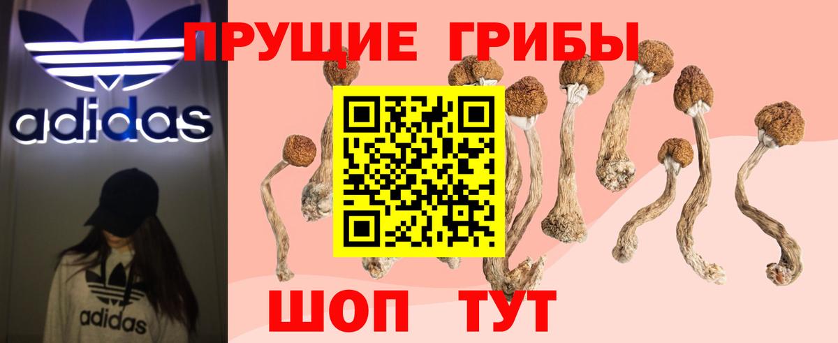 Псилоцибиновые грибы ЛСД Невинномысск